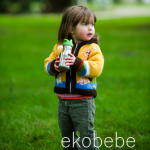 Ekobebe Kid Classic Sippy 355ml - Brushed Stainless
