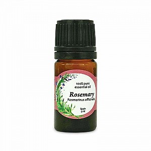 Aromatherapie Etherische Oliën Pure Rozemarijn 5 ml
