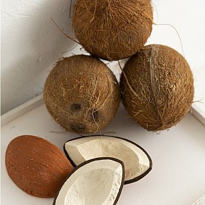 Coco the Coconut Bijtspeeltje Oli & Carol